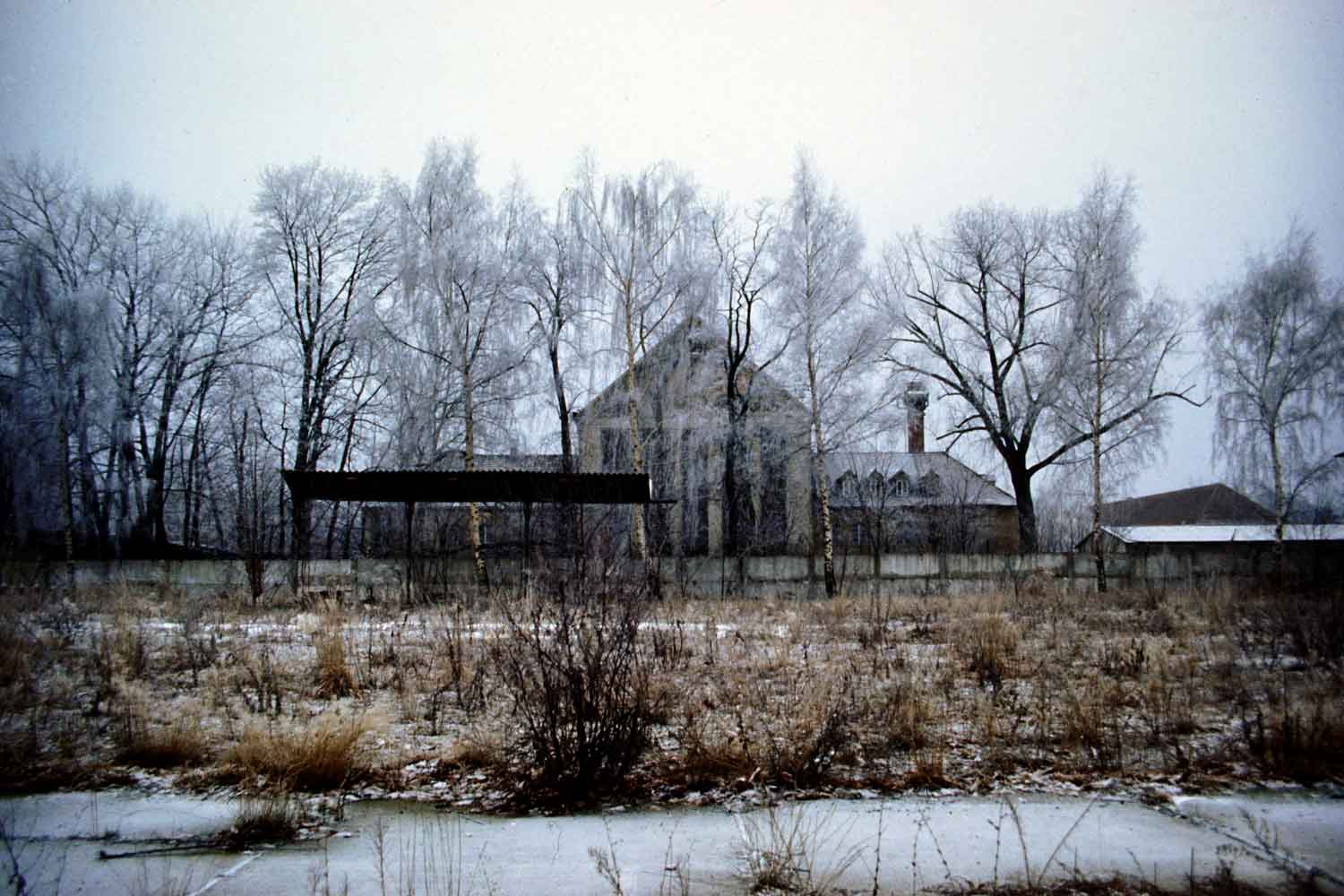 Foto, farbig: Im Hintergrund das Festspielhaus, davor eine Reihe kahler Bäume, im Vordergrund Brachland mit Büschen.